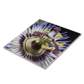 Passionflower close-up (MR) Tegeltje (Zijkant)