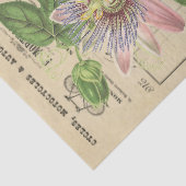 Passionflower Vintage Floral Tissuepapier (Detail)