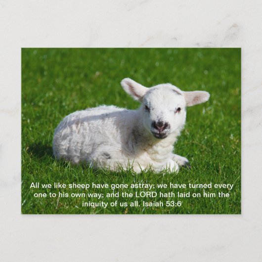 Passover Lamb, Isaiah 53 Briefkaart (Voorkant)