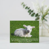 Passover Lamb, Isaiah 53 Briefkaart (Staand voorkant)