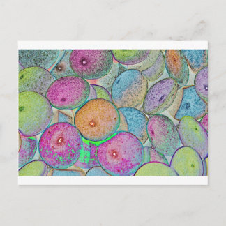 Pastal Art Briefkaart