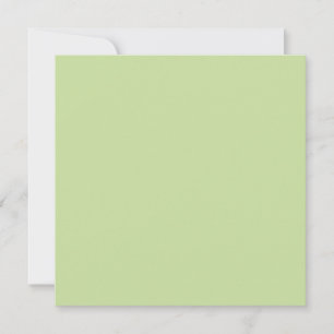 Pastel Appelgroen Effen Kleur Kaart