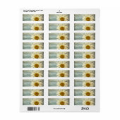 pastel blue barnwood land daisy bruiloft etiket (Full Sheet)