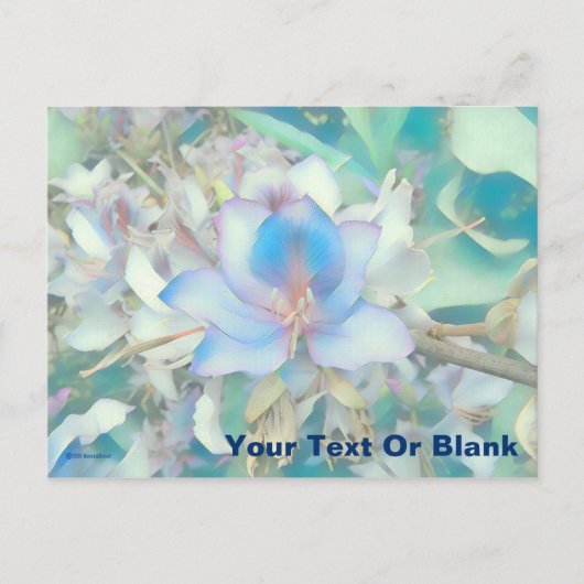 Pastel Blue Blossom Briefkaart (Voorkant)