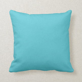 Pastel Blue Solid Color Blue Radiance 14-4816 Kussen