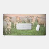  Pastel Charolais runderen in de wei Bureaumat (Keyboard & Muis)