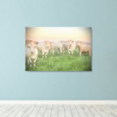 Pastel Charolais runderen in de wei Canvas Afdruk (Insitu (Houten vloer))