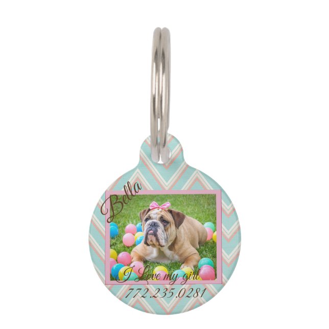 Pastel Chevron Dog - Aangepaste foto Huisdierpenning (Voorkant)