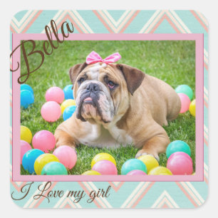Pastel Chevron Dog - Aangepaste foto Vierkante Sticker