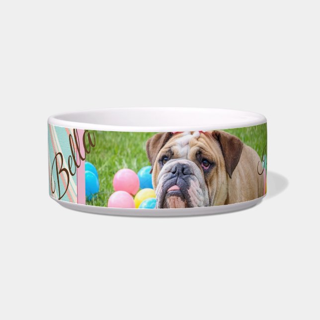 Pastel Chevron Dog - Aangepaste foto Voerbakje (Links)