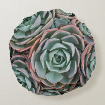 Pastel Coloré Succulent Plantes Coussin rond
