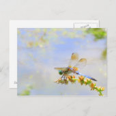 Pastel Dragonfly Briefkaart (Voorkant / Achterkant)