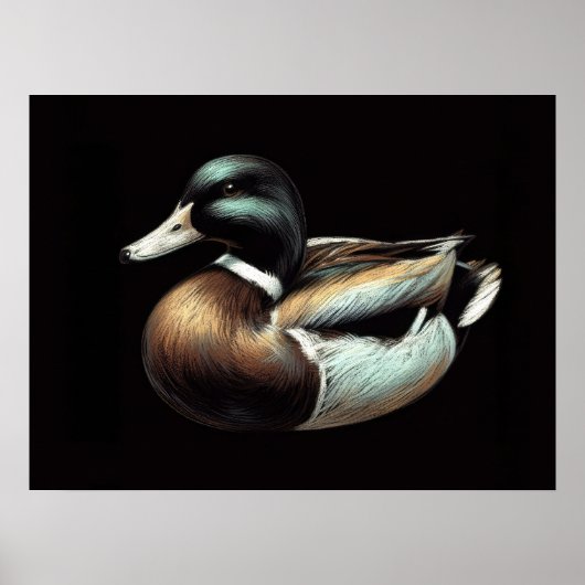 Pastel Drawing Duck Decoy Poster (Voorkant)