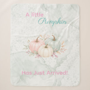 Pastel Een Klein Pompoentje Is Op Weg Baby Shower  Sherpa Deken