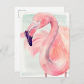 Pastel Flamingo Briefkaart (Voorkant / Achterkant)