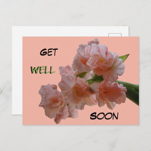 Pastel Gladioli Cust. Carte postale bientôt (Devant / Derrière)