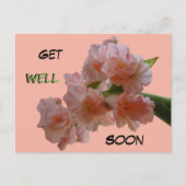 Pastel Gladioli Cust. Carte postale bientôt (Devant)