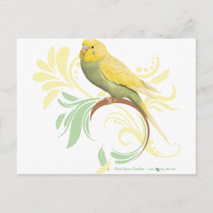 Pastel Green Parakeet Briefkaart