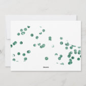 Pastel Green Whimsical ⎢ Carte photo de graduation (Dos)