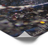 Pastel Ice Coated Forest Hot Springs Mt Trail Poster (Hoek)