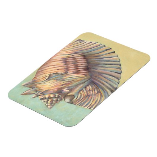 Pastel Large Conch Shell Magneet (Linkerzijde)