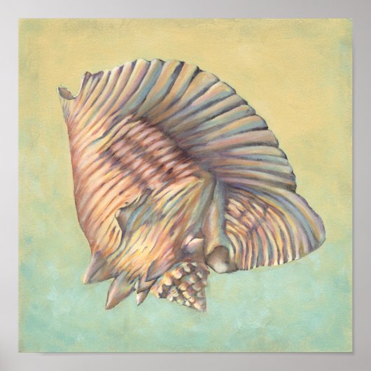 Pastel Large Conch Shell Poster (Voorkant)