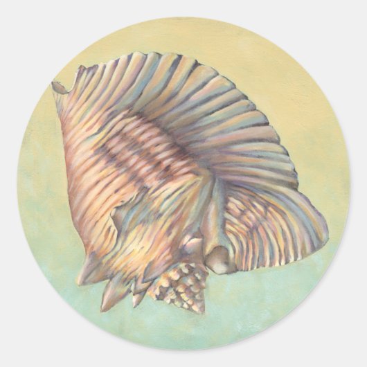 Pastel Large Conch Shell Ronde Sticker (Voorkant)