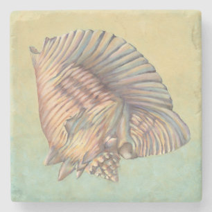 Pastel Large Conch Shell Stenen Onderzetter
