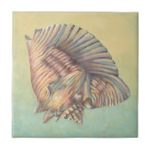 Pastel Large Conch Shell Tegeltje (Voorkant)