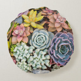 Pastel met gekleurde Succulente Planten rondraai Rond Kussen