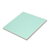 Pastel Muntblauwe Effen Kleur | Klassiek | Elegant Tegeltje (Zijkant)