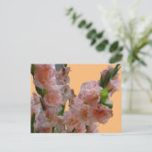 Pastel Oranje roze Gladioli Cust. DIY BRIEFKAART (Staand voorkant)