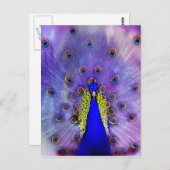 Pastel Peacock Blue Bird Briefkaart (Voorkant / Achterkant)