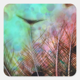 Pastel Peacock Feathers Vierkante Sticker