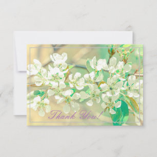 Pastel Pear Tree Blossom Dank je platte Kaart