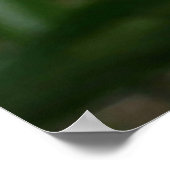 Pastel Peony Waterverf Print Pink White Poster (Hoek)