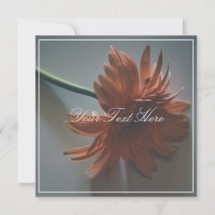 Pastel Pink Chrysanthemum Votre Carte Plat Texte