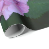 Pastel pink Hortensia hydrangea bloom Cadeaupapier (Rol Hoek)