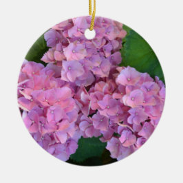 Pastel pink Hortensia hydrangea bloom Keramisch Ornament