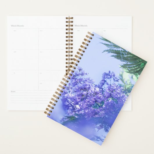 Pastel Purple Jacaranda Arbre Fleurs (Devant avec enveloppe)