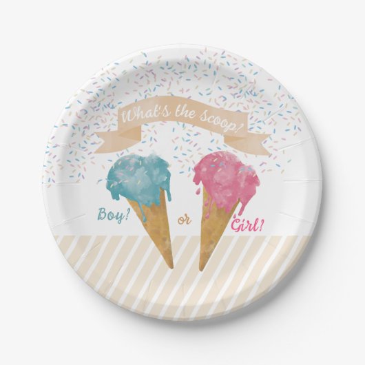 Pastel Retro Ice Cream Gender Reopenbaart Papieren Bordje (Voorkant)