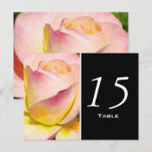 Pastel Rose Numéro de table Carte postale (Devant / Derrière)