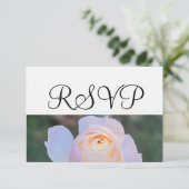 Pastel Rose Rose RSVP (Debout devant)