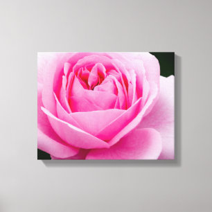 Pastel Roze Canvas Afdrukken
