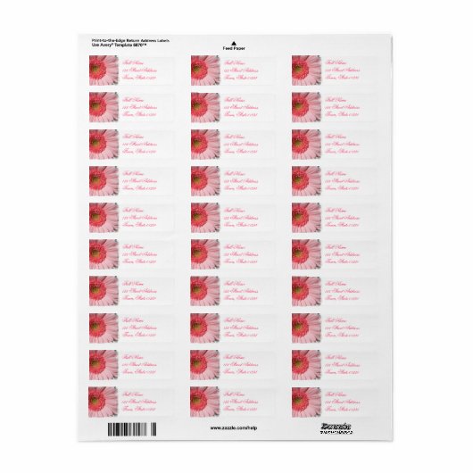 Pastel Roze Daisy Retouradres Mailing Label (Full Sheet)