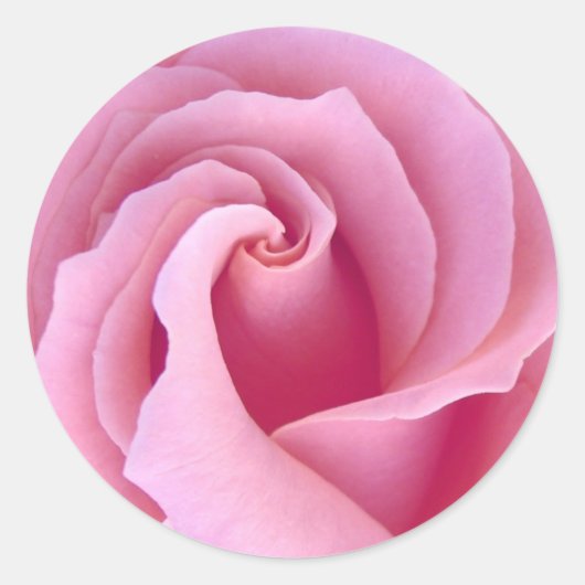 PASTEL ROZE ROOS - Bruiloft Envelope Seal Ronde Sticker (Voorkant)