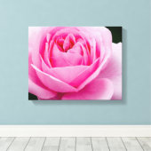Pastel Roze Rose Canvas Print (Insitu (Houten vloer))