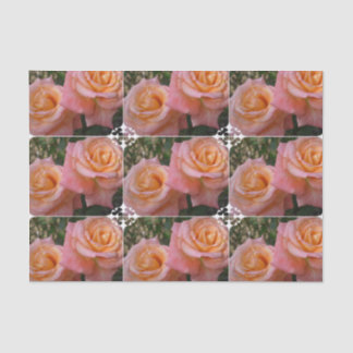 Pastel-Rozen Tissuepapier