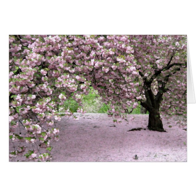 Pastel Serenity (Devant horizontal)