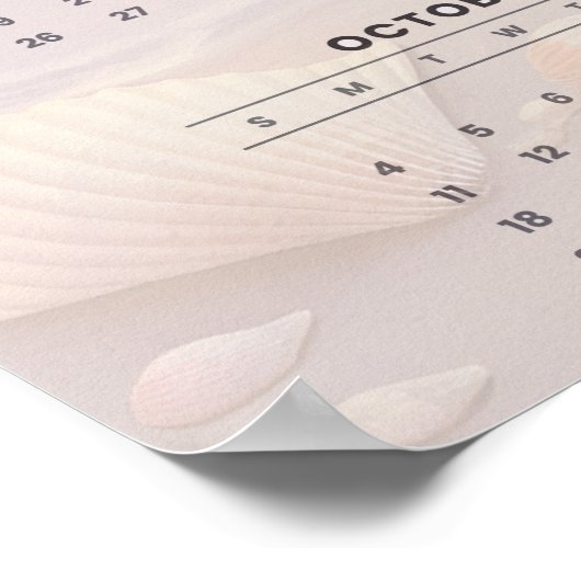 Pastel Shoreline 2026 Calendar with Seashells  Poster (Hoek)